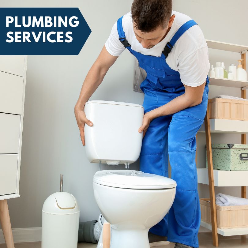 Plumbing Company in Edelstein, IL